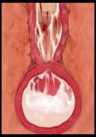 Hitozuma Sousa Sumaho ~Ureta Muchi Body wo Yubisaki Hitotsu de Jiyuujizai! Yaritai Houdai Tanezuke~ / 人妻操作スマホ ～熟れムチボディを指先一つで自由自在！ヤリたい放題種付け～ [T-28] [Original] Thumbnail Page 187