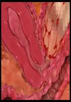 Hitozuma Sousa Sumaho ~Ureta Muchi Body wo Yubisaki Hitotsu de Jiyuujizai! Yaritai Houdai Tanezuke~ / 人妻操作スマホ ～熟れムチボディを指先一つで自由自在！ヤリたい放題種付け～ [T-28] [Original] Thumbnail Page 193