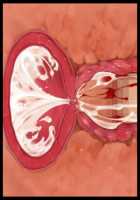 Hitozuma Sousa Sumaho ~Ureta Muchi Body wo Yubisaki Hitotsu de Jiyuujizai! Yaritai Houdai Tanezuke~ / 人妻操作スマホ ～熟れムチボディを指先一つで自由自在！ヤリたい放題種付け～ [T-28] [Original] Thumbnail Page 203