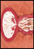 Hitozuma Sousa Sumaho ~Ureta Muchi Body wo Yubisaki Hitotsu de Jiyuujizai! Yaritai Houdai Tanezuke~ / 人妻操作スマホ ～熟れムチボディを指先一つで自由自在！ヤリたい放題種付け～ [T-28] [Original] Thumbnail Page 204