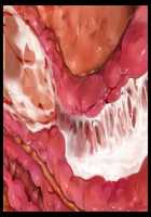 Joou Kidori no Bakunyuu PTA Kaichou-domo o Saimin de Omocha Atsukai de Yariasonde Haramasete Yatta / 女王気取りの爆乳PTA会長共を催眠で玩具扱いでヤリ遊んで孕ませてやった [T-28] [Original] Thumbnail Page 133