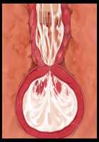 Joou Kidori no Bakunyuu PTA Kaichou-domo o Saimin de Omocha Atsukai de Yariasonde Haramasete Yatta / 女王気取りの爆乳PTA会長共を催眠で玩具扱いでヤリ遊んで孕ませてやった [T-28] [Original] Thumbnail Page 146