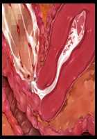 Joou Kidori no Bakunyuu PTA Kaichou-domo o Saimin de Omocha Atsukai de Yariasonde Haramasete Yatta / 女王気取りの爆乳PTA会長共を催眠で玩具扱いでヤリ遊んで孕ませてやった [T-28] [Original] Thumbnail Page 148