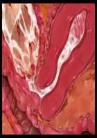 Joou Kidori no Bakunyuu PTA Kaichou-domo o Saimin de Omocha Atsukai de Yariasonde Haramasete Yatta / 女王気取りの爆乳PTA会長共を催眠で玩具扱いでヤリ遊んで孕ませてやった [T-28] [Original] Thumbnail Page 149