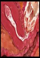 Joou Kidori no Bakunyuu PTA Kaichou-domo o Saimin de Omocha Atsukai de Yariasonde Haramasete Yatta / 女王気取りの爆乳PTA会長共を催眠で玩具扱いでヤリ遊んで孕ませてやった [T-28] [Original] Thumbnail Page 153