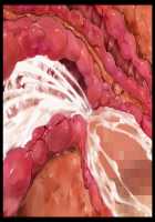 Joou Kidori no Bakunyuu PTA Kaichou-domo o Saimin de Omocha Atsukai de Yariasonde Haramasete Yatta / 女王気取りの爆乳PTA会長共を催眠で玩具扱いでヤリ遊んで孕ませてやった [T-28] [Original] Thumbnail Page 94