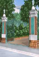 Nurse no Obenkyou Ouyouhen -Uke Shichu Igai wa Zettai Kinshi- / ナースのお勉強 受けシチュ以外は絶対禁止！ [Ayakaze Ryuushou] [Original] Thumbnail Page 552