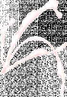 Koshitsu Byoushitsu / 個室病室 [Sapporo Momoko] [Original] Thumbnail Page 401