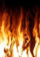 Shin NOZOKI Ma ~Geshukuya Kanshi 24-ji~ / 真・NOZOKI魔 ～下宿屋姦視24時～ [Hasegawa Tooru] [Original] Thumbnail Page 539