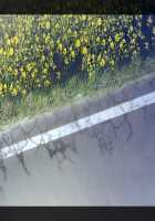 Kazama Mana / 風間 愛 [Morita Kazuaki] [Night Shift Nurses] Thumbnail Page 1337