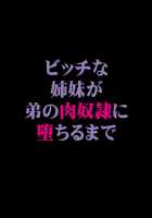 Bitch Na Shimai Ga Otouto No Niku Dorei Ni Ochiru Made 01 [Honoutsukai] [Original] Thumbnail Page 30