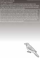 No Kemono Friends / のけものフレンズ [Quick Wiper] [Kemono Friends] Thumbnail Page 37