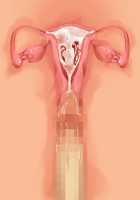 Saikyou no Maou-sama ga Nyotaika!? ~ Hatsujou Yuusha ni Semararemakuru Goku Ero Haramase Quest ~ / 最凶の魔王様が女体化！？ ～発情勇者に迫られまくる極エロ孕ませクエスト～ [Soramoti] [Original] Thumbnail Page 369