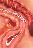 Saikyou no Maou-sama ga Nyotaika!? ~ Hatsujou Yuusha ni Semararemakuru Goku Ero Haramase Quest ~ / 最凶の魔王様が女体化！？ ～発情勇者に迫られまくる極エロ孕ませクエスト～ [Soramoti] [Original] Thumbnail Page 385