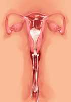 Saikyou no Maou-sama ga Nyotaika!? ~ Hatsujou Yuusha ni Semararemakuru Goku Ero Haramase Quest ~ / 最凶の魔王様が女体化！？ ～発情勇者に迫られまくる極エロ孕ませクエスト～ [Soramoti] [Original] Thumbnail Page 413