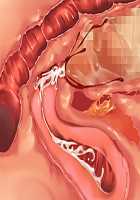 Saikyou no Maou-sama ga Nyotaika!? ~ Hatsujou Yuusha ni Semararemakuru Goku Ero Haramase Quest ~ / 最凶の魔王様が女体化！？ ～発情勇者に迫られまくる極エロ孕ませクエスト～ [Soramoti] [Original] Thumbnail Page 417