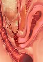 Saikyou no Maou-sama ga Nyotaika!? ~ Hatsujou Yuusha ni Semararemakuru Goku Ero Haramase Quest ~ / 最凶の魔王様が女体化！？ ～発情勇者に迫られまくる極エロ孕ませクエスト～ [Soramoti] [Original] Thumbnail Page 426