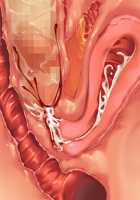 Saikyou no Maou-sama ga Nyotaika!? ~ Hatsujou Yuusha ni Semararemakuru Goku Ero Haramase Quest ~ / 最凶の魔王様が女体化！？ ～発情勇者に迫られまくる極エロ孕ませクエスト～ [Soramoti] [Original] Thumbnail Page 427