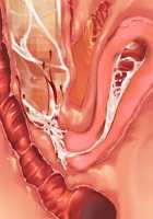 Saikyou no Maou-sama ga Nyotaika!? ~ Hatsujou Yuusha ni Semararemakuru Goku Ero Haramase Quest ~ / 最凶の魔王様が女体化！？ ～発情勇者に迫られまくる極エロ孕ませクエスト～ [Soramoti] [Original] Thumbnail Page 430