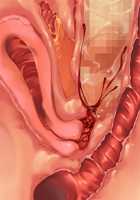 Saikyou no Maou-sama ga Nyotaika!? ~ Hatsujou Yuusha ni Semararemakuru Goku Ero Haramase Quest ~ / 最凶の魔王様が女体化！？ ～発情勇者に迫られまくる極エロ孕ませクエスト～ [Soramoti] [Original] Thumbnail Page 431