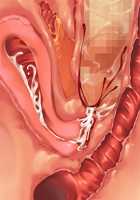 Saikyou no Maou-sama ga Nyotaika!? ~ Hatsujou Yuusha ni Semararemakuru Goku Ero Haramase Quest ~ / 最凶の魔王様が女体化！？ ～発情勇者に迫られまくる極エロ孕ませクエスト～ [Soramoti] [Original] Thumbnail Page 432