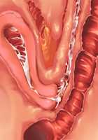 Saikyou no Maou-sama ga Nyotaika!? ~ Hatsujou Yuusha ni Semararemakuru Goku Ero Haramase Quest ~ / 最凶の魔王様が女体化！？ ～発情勇者に迫られまくる極エロ孕ませクエスト～ [Soramoti] [Original] Thumbnail Page 433