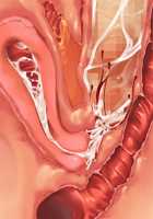 Saikyou no Maou-sama ga Nyotaika!? ~ Hatsujou Yuusha ni Semararemakuru Goku Ero Haramase Quest ~ / 最凶の魔王様が女体化！？ ～発情勇者に迫られまくる極エロ孕ませクエスト～ [Soramoti] [Original] Thumbnail Page 435