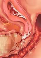 Saikyou no Maou-sama ga Nyotaika!? ~ Hatsujou Yuusha ni Semararemakuru Goku Ero Haramase Quest ~ / 最凶の魔王様が女体化！？ ～発情勇者に迫られまくる極エロ孕ませクエスト～ [Soramoti] [Original] Thumbnail Page 437