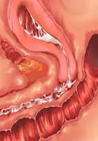 Saikyou no Maou-sama ga Nyotaika!? ~ Hatsujou Yuusha ni Semararemakuru Goku Ero Haramase Quest ~ / 最凶の魔王様が女体化！？ ～発情勇者に迫られまくる極エロ孕ませクエスト～ [Soramoti] [Original] Thumbnail Page 438