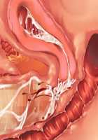 Saikyou no Maou-sama ga Nyotaika!? ~ Hatsujou Yuusha ni Semararemakuru Goku Ero Haramase Quest ~ / 最凶の魔王様が女体化！？ ～発情勇者に迫られまくる極エロ孕ませクエスト～ [Soramoti] [Original] Thumbnail Page 440