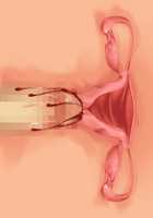 Saikyou no Maou-sama ga Nyotaika!? ~ Hatsujou Yuusha ni Semararemakuru Goku Ero Haramase Quest ~ / 最凶の魔王様が女体化！？ ～発情勇者に迫られまくる極エロ孕ませクエスト～ [Soramoti] [Original] Thumbnail Page 441