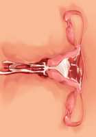 Saikyou no Maou-sama ga Nyotaika!? ~ Hatsujou Yuusha ni Semararemakuru Goku Ero Haramase Quest ~ / 最凶の魔王様が女体化！？ ～発情勇者に迫られまくる極エロ孕ませクエスト～ [Soramoti] [Original] Thumbnail Page 443