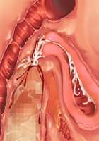 Saikyou no Maou-sama ga Nyotaika!? ~ Hatsujou Yuusha ni Semararemakuru Goku Ero Haramase Quest ~ / 最凶の魔王様が女体化！？ ～発情勇者に迫られまくる極エロ孕ませクエスト～ [Soramoti] [Original] Thumbnail Page 446