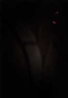 Misoji Onna ni Kyuukannbi wa Arimasen! 2 / 三十路女に休姦日はありません!2 [Hayashi Custom] [Original] Thumbnail Page 37