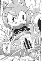 Ore no Fuyu 2012 / 俺の冬2012 [Akuno Toujou] [Sonic The Hedgehog] Thumbnail Page 18