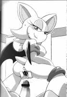 Ore no Fuyu 2013 / 俺の冬2013 [Agawa Ryo] [Sonic The Hedgehog] Thumbnail Page 27