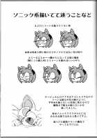 Ore no Fuyu 2013 / 俺の冬2013 [Agawa Ryo] [Sonic The Hedgehog] Thumbnail Page 42