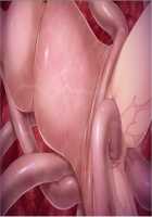 Tetsu to Ra / 鉄と裸 - パート1 [Sakura Romako] [Original] Thumbnail Page 1884