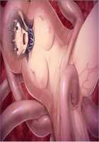 Tetsu to Ra / 鉄と裸 - パート1 [Sakura Romako] [Original] Thumbnail Page 1901