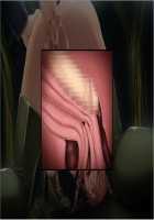 Tetsu to Ra / 鉄と裸 - パート1 [Sakura Romako] [Original] Thumbnail Page 1994