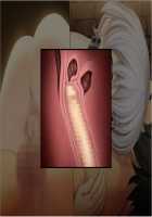 Tetsu to Ra / 鉄と裸 - パート1 [Sakura Romako] [Original] Thumbnail Page 988