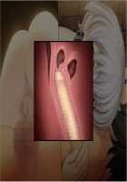 Tetsu to Ra / 鉄と裸 - パート1 [Sakura Romako] [Original] Thumbnail Page 989