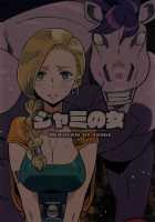 Woman of Jami / ジャミの女 [Kizaki] [Dragon Quest V] Thumbnail Page 18