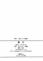 Bitch Spoiler 2 / ビッチスポイラー2 [Hanaduka Ryouji] [Touhou Project] Thumbnail Page 26