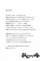 DELICIOUS Rice / DELICIOUS Rice [Akanagi Youto] [Touhou Project] Thumbnail Page 24