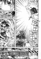 RAINMAKER (1) Nametokoyama no Kuma / RAINMAKER (1) なめとこ山の熊 [Ameyama Denshin] [Touhou Project] Thumbnail Page 17