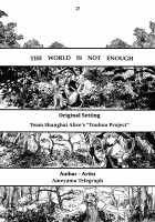 THE WORLD IS NOT ENOUGH <Jou> / ザ・ワールド・イズ・ノット・イナフ ＜上＞ [Ameyama Denshin] [Touhou Project] Thumbnail Page 18