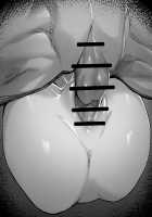 Gudao x Nightingale [Hex D] [Fate] Thumbnail Page 233