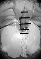 Gudao x Nightingale [Hex D] [Fate] Thumbnail Page 240