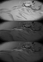 Gudao x Nightingale [Hex D] [Fate] Thumbnail Page 264